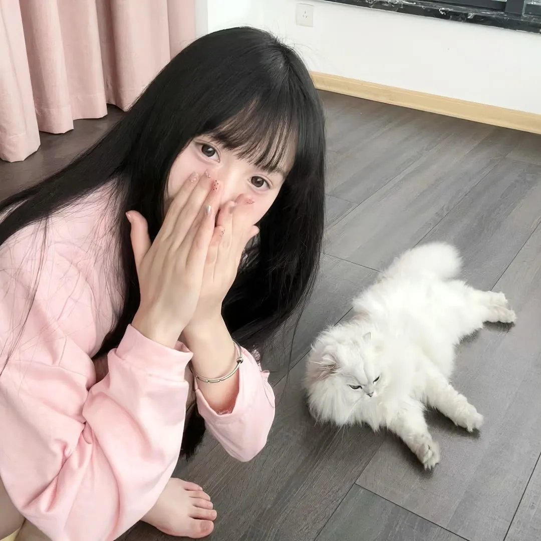 纸牌人生
